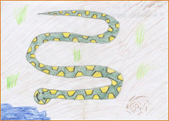 dessin_paa
