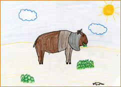 dessin_paa