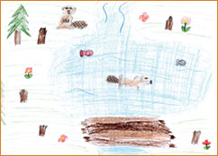 dessin_paa