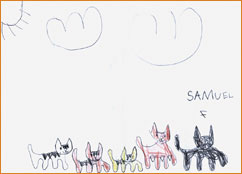 dessin_paa