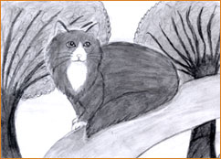 dessin_paa