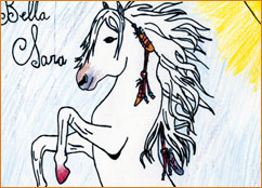 dessin_paa