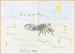 dessin_paa