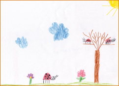 dessin_paa