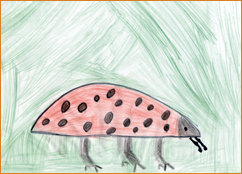 dessin_paa