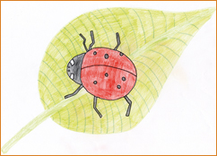 dessin_paa