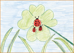 dessin_paa