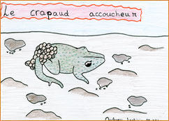 dessin_paa