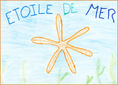 dessin_paa