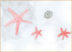 dessin_paa