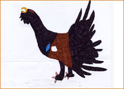 dessin_paa