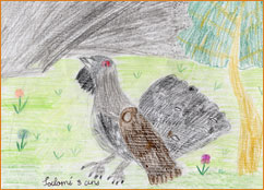 dessin_paa