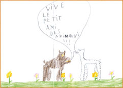 dessin_paa