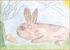 dessin_paa