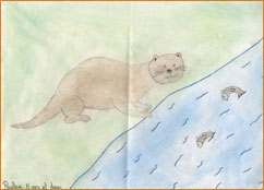 dessin_paa