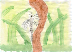 dessin_paa