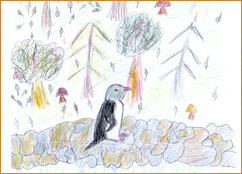 dessin_paa