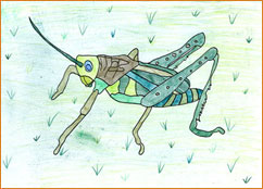 dessin_paa