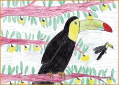 dessin_paa