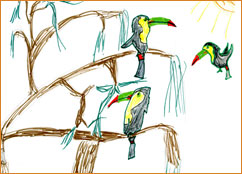 dessin_paa