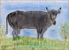 dessin_paa