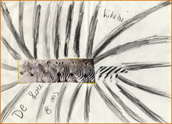 dessin_paa